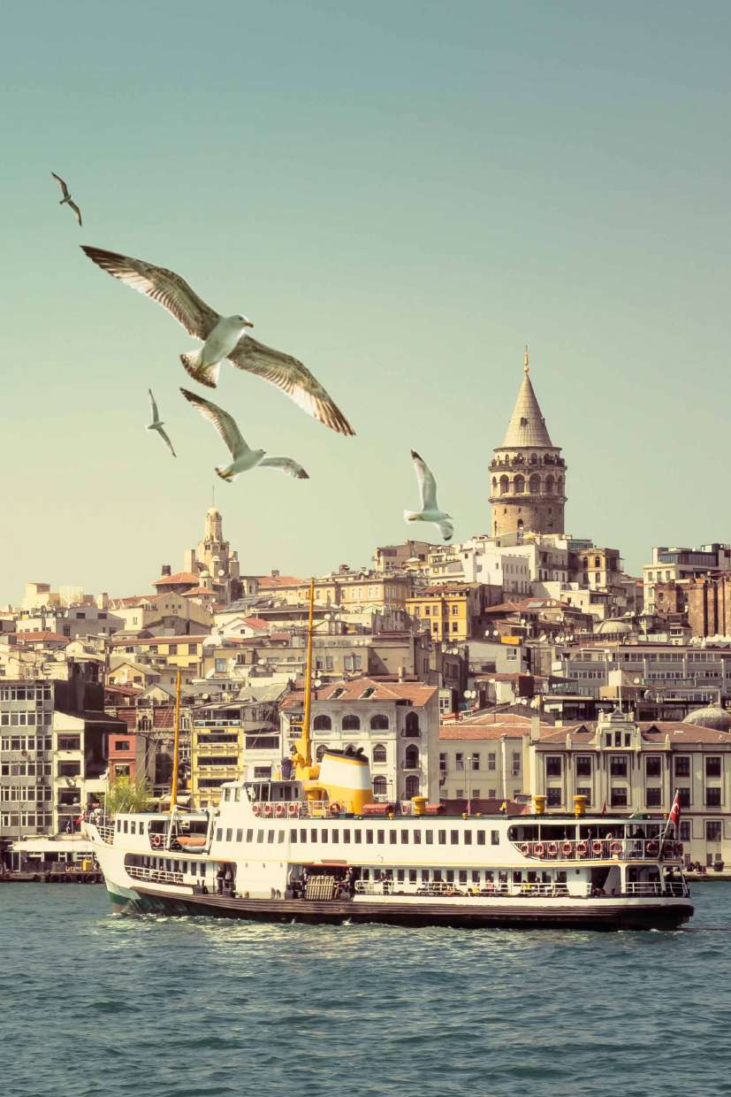 Vapur, martılar ve Galata silueti